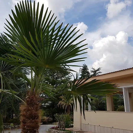 Venus Woods 住宿加早餐酒店 马丁纳弗兰卡