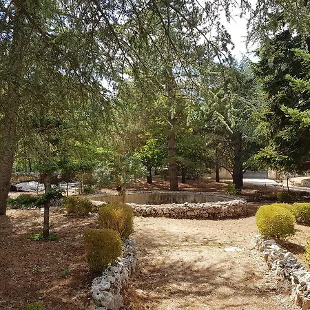 住宿加早餐酒店 Venus Woods 马丁纳弗兰卡