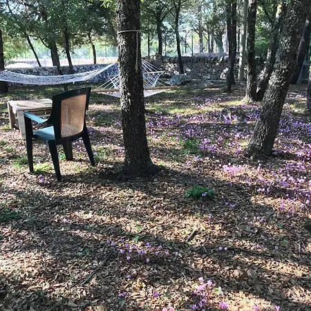 Venus Woods 住宿加早餐酒店 马丁纳弗兰卡