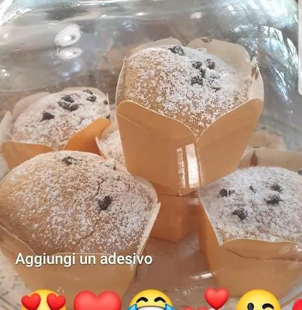 住宿加早餐酒店 Venus Woods