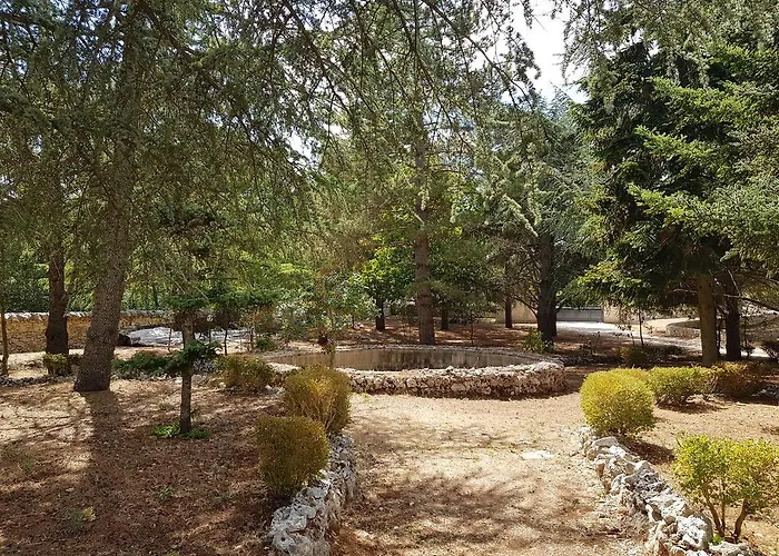 Bed & Breakfast Venus Woods Martina Franca