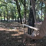 Venus Woods 3*