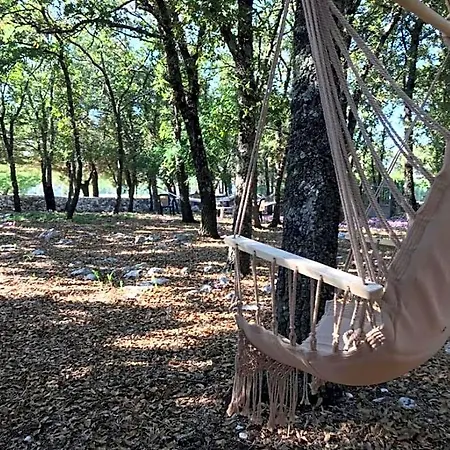 Venus Woods 4*