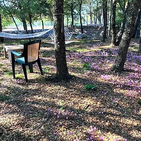 Venus Woods 4*