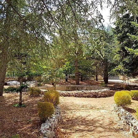 Oda ve Kahvaltı Venus Woods Martina Franca
