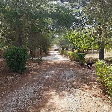 Venus Woods 3*