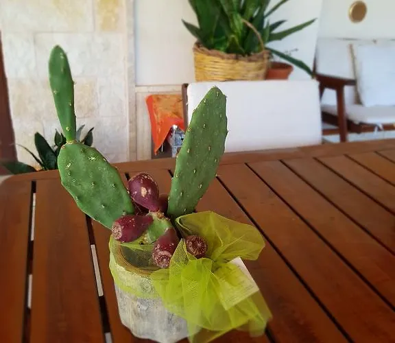 Venus Woods 3* Μαρτίνα Φράνκα