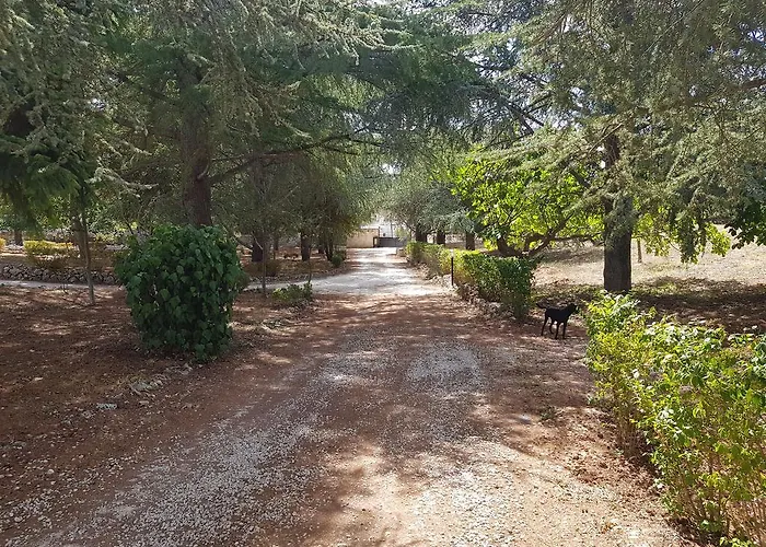 Venus Woods 3*