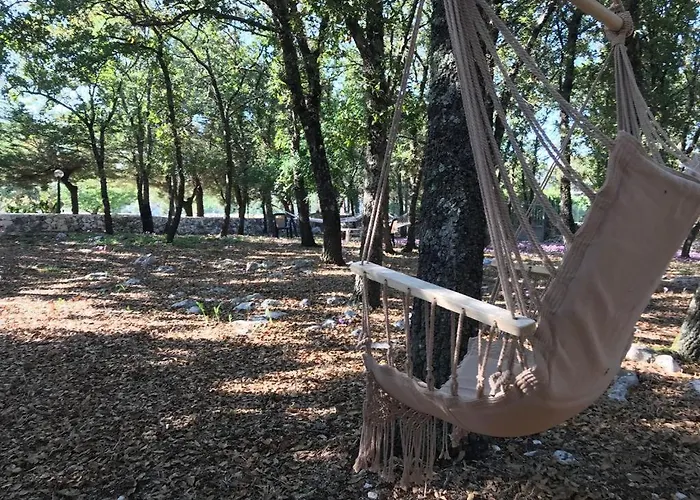 Venus Woods 3*